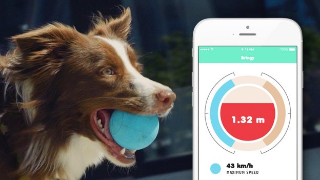 توپ هوشمند برای سگ ها